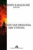 Yangin Var Ormanda Ask Uykuda