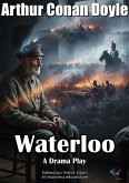 Waterloo (eBook, ePUB)