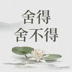 Cover 舍得 舍不得 (MP3-Download)