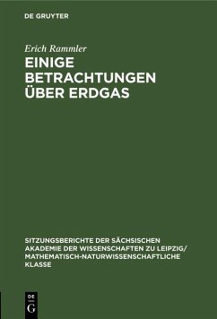 Cover Einige Betrachtungen über Erdgas (eBook, PDF)