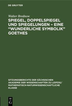 Spiegel, Doppelspiegel und Spiegelungen - Eine 