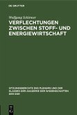Verflechtungen zwischen Stoff- und Energiewirtschaft (eBook, PDF)