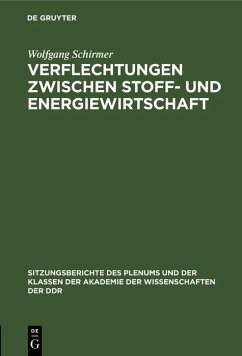 Verflechtungen zwischen Stoff- und Energiewirtschaft (eBook, PDF) - Schirmer, Wolfgang