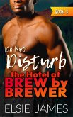 Do Not Disturb (Holidays at Brew by Brewer, #3) (eBook, ePUB) Do Not Disturb (Holidays at Brew by Brewer, #3) (eBook, ePUB)