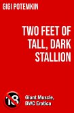 Two Feet of Tall, Dark Stallion (Adult books by Gigi Potemkin, #28) (eBook, ePUB) Two Feet of Tall, Dark Stallion (Adult books by Gigi Potemkin, #28) (eBook, ePUB)