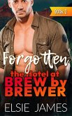 Forgotten (Hotel at Brew by Brewer, #2) (eBook, ePUB) Forgotten (Hotel at Brew by Brewer, #2) (eBook, ePUB)