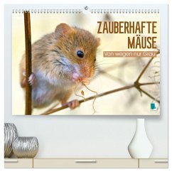 Zauberhafte Mäuse: Von wegen nur Grau (hochwertiger Premium Wandkalender 2026 DIN A2 quer), Kunstdruck in Hochglanz