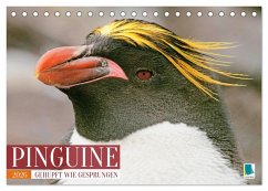 Pinguine: Gehupft wie gesprungen (Tischkalender 2026 DIN A5 quer), CALVENDO Monatskalender