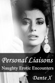 Personal Liaisons: Naughty Erotic Encounters (eBook, ePUB)