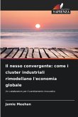 Il nesso convergente: come i cluster industriali rimodellano l'economia globale