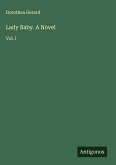Lady Baby. A Novel