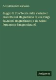 Saggio di Una Teoria delle Variazioni Prodotte nel Magnetismo di una Verga da Azioni Magnetizzanti e da Azioni Puramente Smagnetizzanti