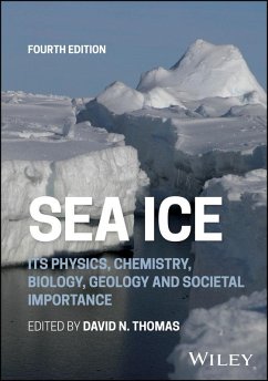 Sea Ice (eBook, PDF)