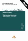 Derecho Internacional Público (eBook, ePUB)