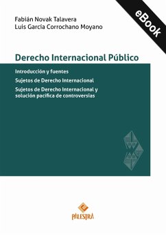 Cover Derecho Internacional Público (eBook, ePUB)