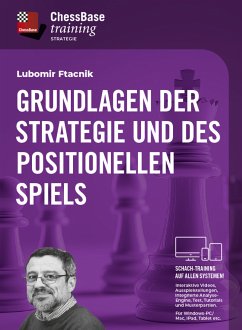 Cover Grundlagen der Strategie und des positionellen Spiels