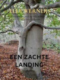 Cover EEN ZACHTE LANDING