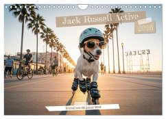 Cover Jack Russel Active (Wandkalender 2026 DIN A4 quer), CALVENDO Monatskalender