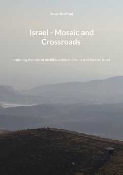 Cover Israel - Mosaic and Crossroads (eBook, ePUB)