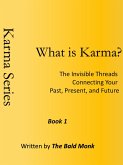 What is Karma? (eBook, ePUB)
