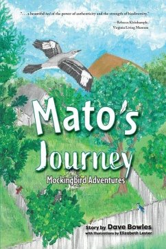 Cover Mato's Journey