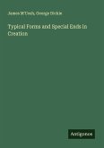Typical Forms and Special Ends in Creation