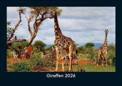 Cover Giraffen 2026 Fotokalender DIN A5