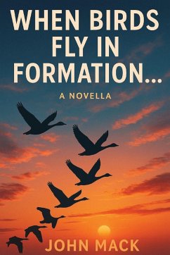 When Birds Fly In Formation Cover When Birds Fly In Formation