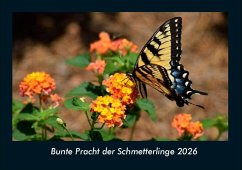 Cover Bunte Pracht der Schmetterlinge 2026 Fotokalender DIN A4