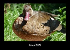 Cover Enten 2026 Fotokalender DIN A3