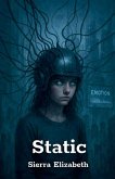 Static Static