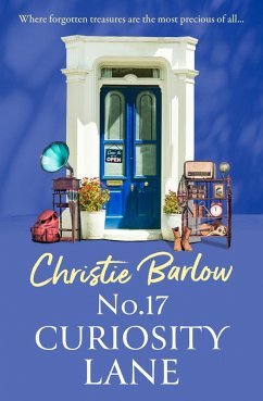 Cover No. 17 Curiosity Lane