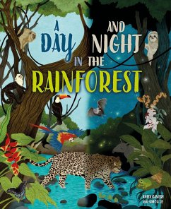 Cover A Day and Night: In a Rainforest