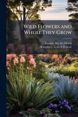 Wild Flowers and Where They Grow Wild Flowers and Where They Grow