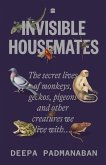 Invisible Housemates Invisible Housemates