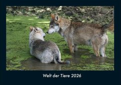 Cover Welt der Tiere 2026 Fotokalender DIN A4