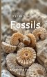 It's Time to Learn about Fossils - Bild 1