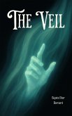 The Veil (Aurora O'Neil, #1) (eBook, ePUB)