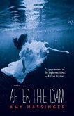 After the Dam (eBook, ePUB)