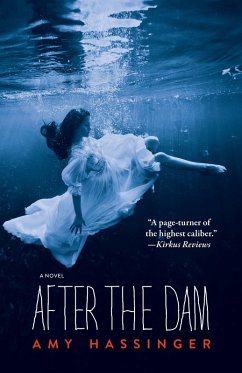 Cover After the Dam (eBook, ePUB)