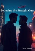 Seducing The Straight Guys (eBook, ePUB)