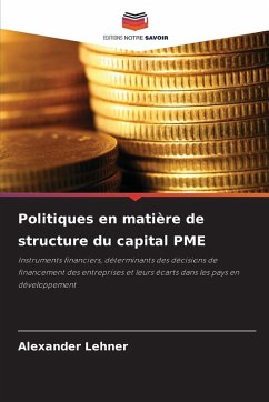 Cover Politiques en matière de structure du capital PME