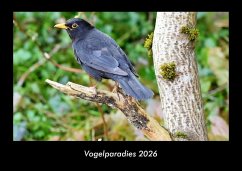 Cover Vogelparadies 2026 Fotokalender DIN A3
