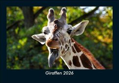 Cover Giraffen 2026 Fotokalender DIN A5