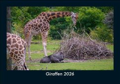 Cover Giraffen 2026 Fotokalender DIN A5