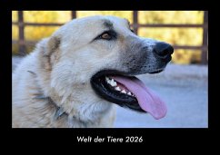 Cover Welt der Tiere 2026 Fotokalender DIN A3