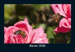 Cover Bienen 2026 Fotokalender DIN A5