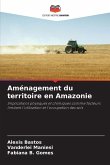 Aménagement du territoire en Amazonie