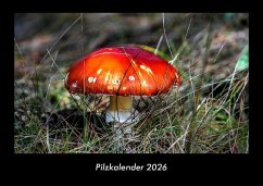 Cover Pilzkalender 2026 Fotokalender DIN A3