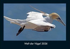Cover Welt der Vögel 2026 Fotokalender DIN A4